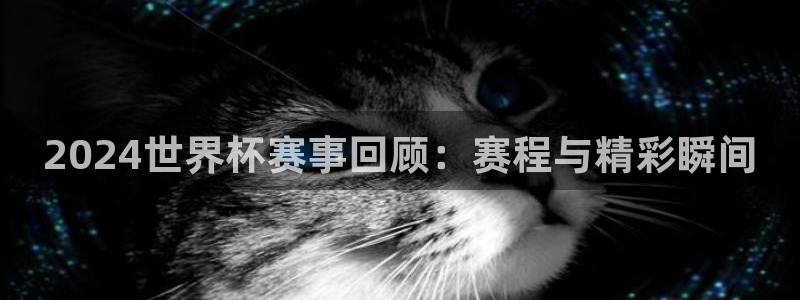 2026世界杯赛：2024世界杯赛事回顾：赛程与精彩瞬间