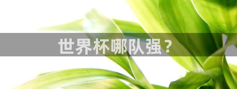 看世界杯：世界杯哪队强？