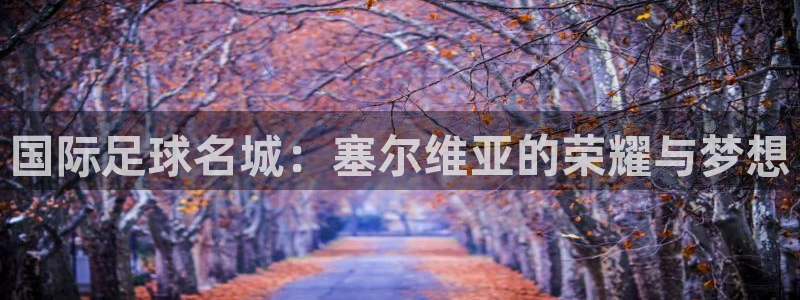 2006世界杯：国际足球名城：塞尔维亚的荣耀与梦想