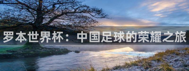 世界杯直播网站：罗本世界杯：中国足球的荣耀之旅
