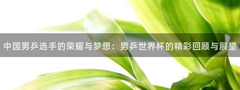 世界杯足球赛：中国男乒选手的荣耀与梦想：男乒世界杯的精彩回顾与展望