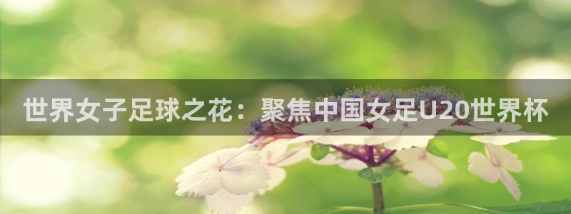 足球比分直播世界杯：世界女子足球之花：聚焦中国女足U20世界杯