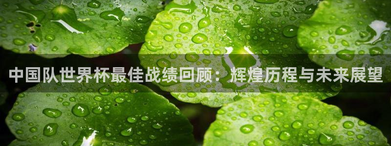 世界杯2026比赛时间表：中国队世界杯最佳战绩回顾：辉煌历程与未来展望