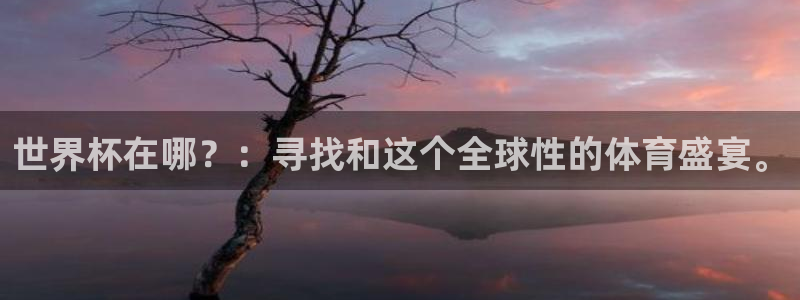 2026世亚预赛赛程表：世界杯在哪？：寻找和这个全球性的体育盛宴。