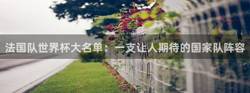 世界杯赛程2026：法国队世界杯大名单：一支让人期待的国家队阵容