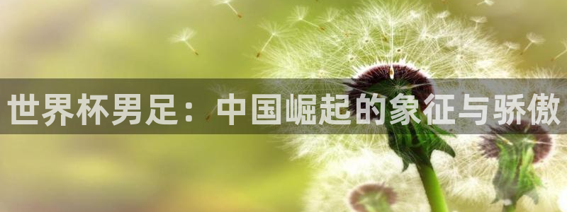 欧洲区世界杯预选赛：世界杯男足：中国崛起的象征与骄傲
