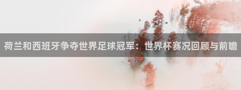2026世界杯小组赛赛程时间表：荷兰和西班牙争夺世界足球冠军：世界杯赛况回顾与前瞻